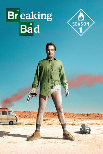 Breaking Bad season #1